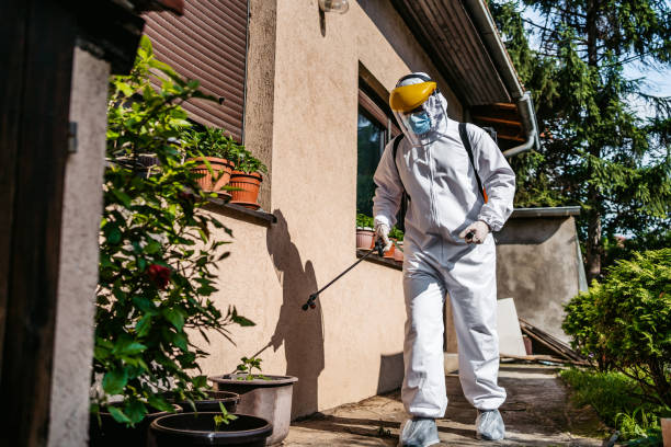 Best Pest Prevention Services  in Wyndmoor, PA