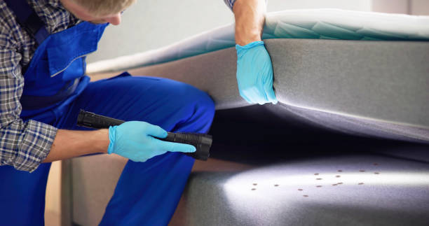 Reliable Wyndmoor, PA Pest Control Solutions